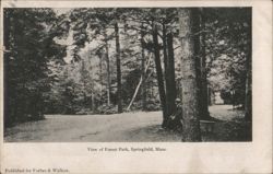Forest Park View, Springfield, MA Postcard