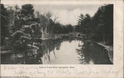 Lake in Forest Park Postcard