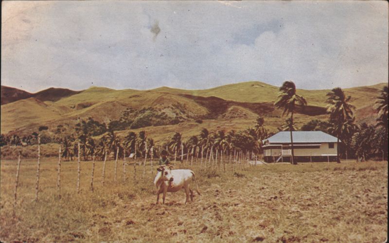 Guam Farm Scene, Mariannas Isles, Colorful Countryside
