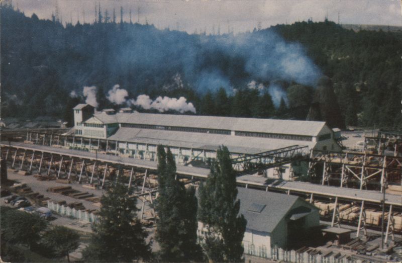 Pacific Lumber Company Redwood Mill, Scotia, CA California