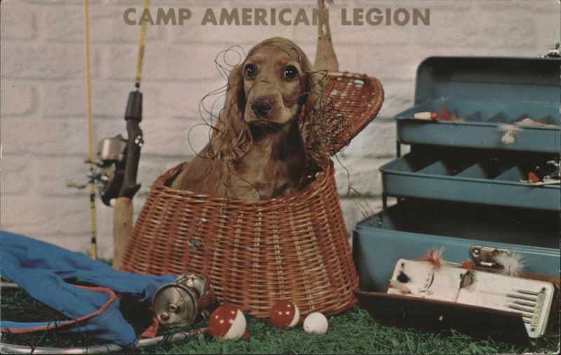 CAMP AMERICAN LEGION Dog in Fishing Basket with Gear