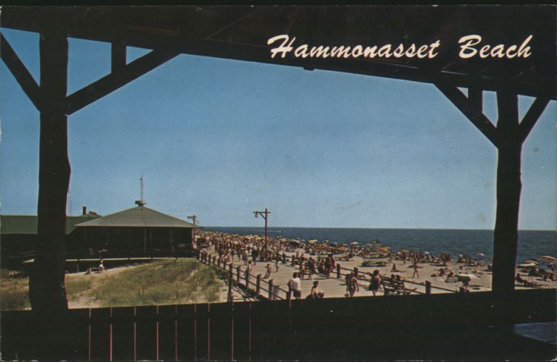 Hammonasset Beach State Park Madison Connecticut Sedge LeBlang