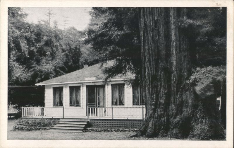Big Tree Inn, La Honda Canyon, San Mateo County California