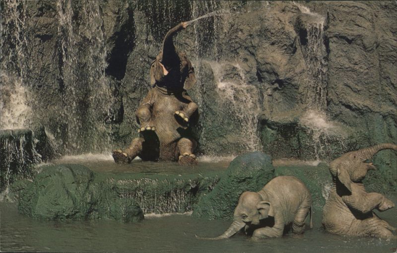 Elephant Bathing Pool, Jungle River Cruise, Adventureland Walt Disney World Florida