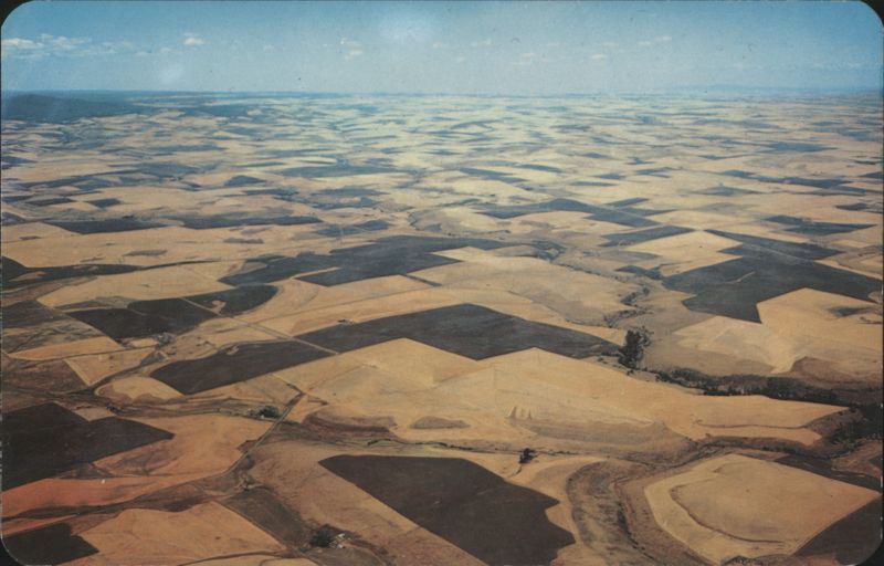Crazy Quilt of Camas Prairie, ID & WA Grainfields Idaho