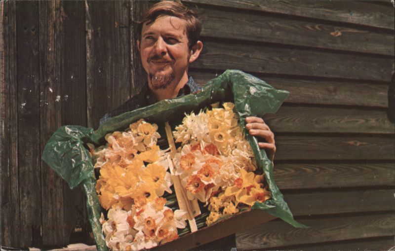 Mr. Brent C. Heath, The Daffodil Mart, Box of Daffodils