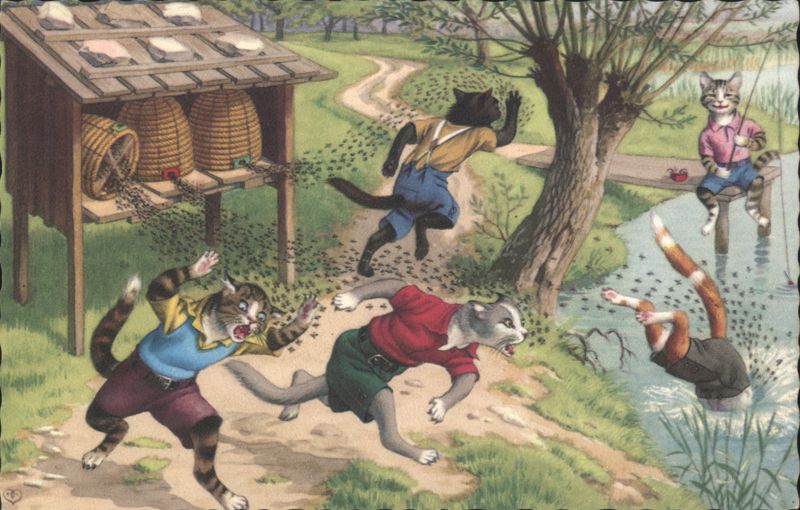 Cats Attacked by Bees Near Beehives Dressed Animals