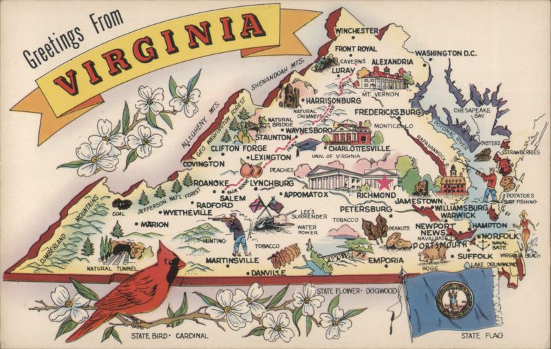 Greetings From VIRGINIA State Map Cardinal Dogwood Flag