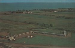 Wilson Motel, Aerial View, Lake Erie Backdrop Postcard