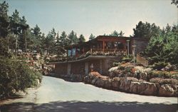 The Tea House, Royal Botanical Gardens, Hamilton Postcard