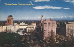 Business Section Postcard