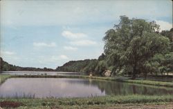 Lake Atalanta Scenic View Postcard