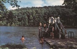 Lake Wedington Swimming & Recreation, AR Postcard