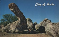 City of Rocks, Famous Dinosaur Rock, New Mexico Postcard