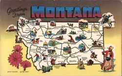 Greetings From MONTANA Map State Flower Bitter Root Postcard