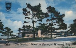 Wilkie's Motel Postcard