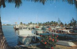 Pompano Beach Yacht Basin Postcard
