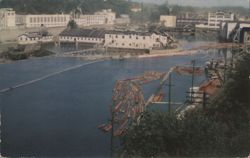 Willamette River Paper Mills & Log Boom, Oregon City, OR Postcard