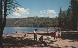 Pinecrest Lake Beach with Swimmers & Pine Trees, CA Postcard