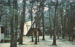 New Chapel, Odd Fellow and Rebekah Camp, Baldwin, MI Postcard