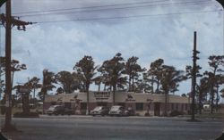 Greiner's Hollywood Garden Restaurant, Cars, Palm Trees Postcard