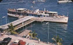Luxurious Yacht Fiesta at Acapulco's Wharf Postcard