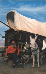 Death Valley Smiley, Donkey, Ore Wagon, Death Valley Postcard