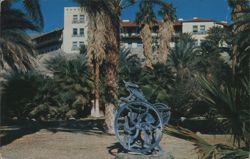 Gardens at Furnace Creek Inn, Death Valley National Monument Postcard