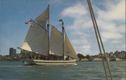 Schooner ALMA, San Francisco Bay Postcard