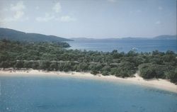 Caneel Bay, Hawksnest Beach, St. John, US Virgin Islands Postcard