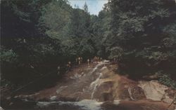Scenic Sliding Rock on Looking Glass Creek, Pisgah National Forest Postcard