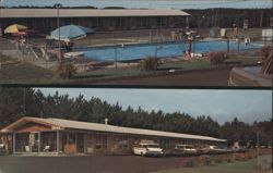 Pine Dells Motel, Swimming Pool, Wisconsin Dells Postcard
