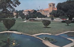 Library Park, Main Street, El Segundo, CA Postcard