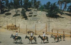Mt. Baldy Burro Train at Baldy Notch, Southern California Postcard