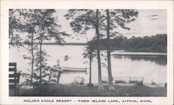 Golden Eagle Resort - Farm Island Lake, Aitkin Postcard
