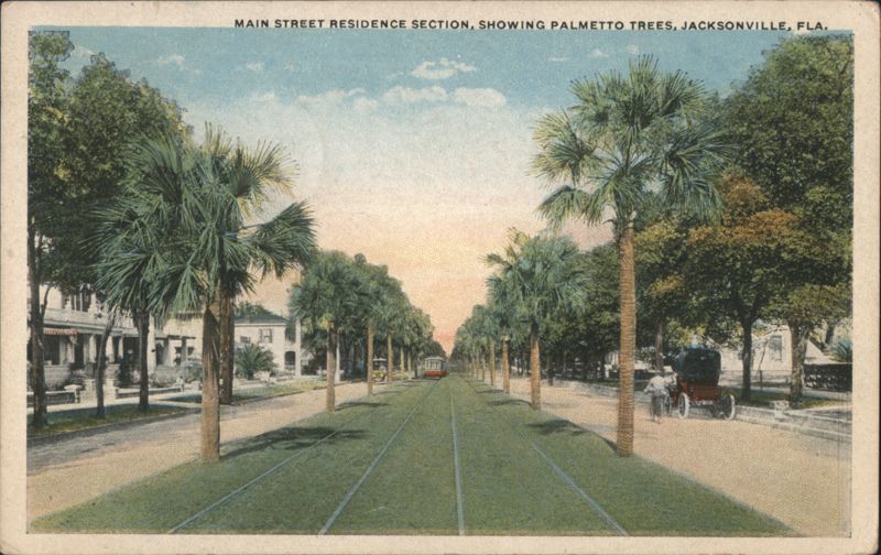 Main Street Residence Section, Palmetto Trees Jacksonville Florida