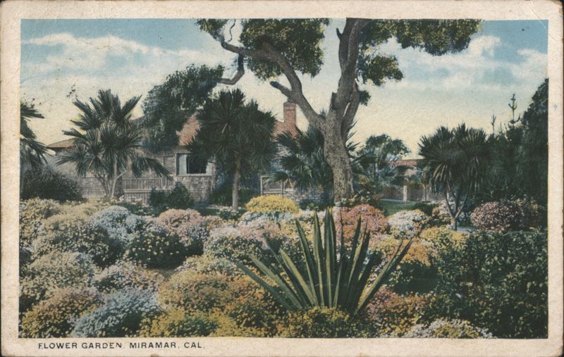 Flower Garden, Miramar, California
