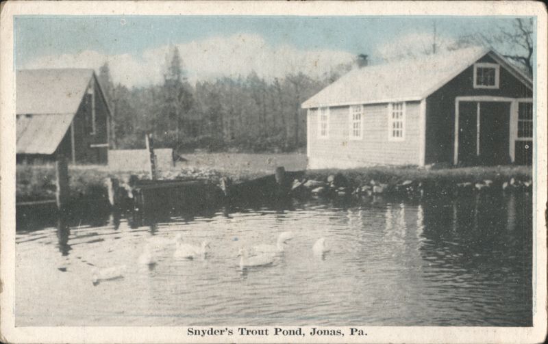 Snyder's Trout Pond, Jonas, PA Pennsylvania