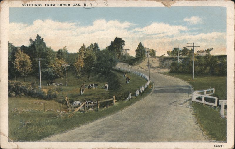 Winding Road, Grazing Animals, Shrub Oak, NY New York