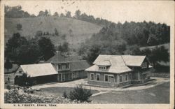 U. S. Fishery, Erwin, TN Postcard