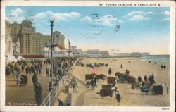 Ponies on Beach, Atlantic City, NJ Postcard