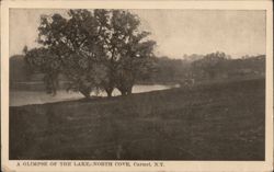 A Glimpse of the Lake, North Cove, Carmel, N.Y. Postcard