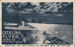 Catalina Flyer Showing Flying Fish at Avalon, Catalina Island Postcard
