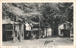 Cottages at Sidney Institute, Sidney, NY Postcard