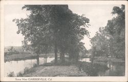 Scene Near Garberville, California - River & Trees Postcard