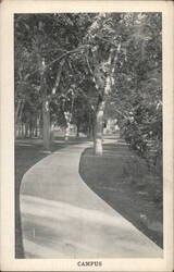 Colorado State Teachers College Campus Path Postcard