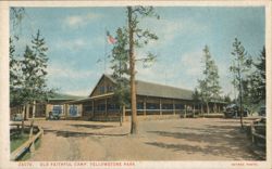 Old Faithful Camp, Yellowstone Park Postcard