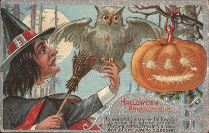 Halloween Precautions: Witch, Owl, and Jack-O-Lantern