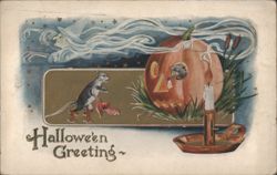 Halloween Greeting - Witch, Mouse, and JOL Postcard
