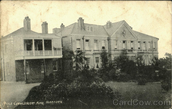 Lice Cokacescent Home Harrogate England Yorkshire